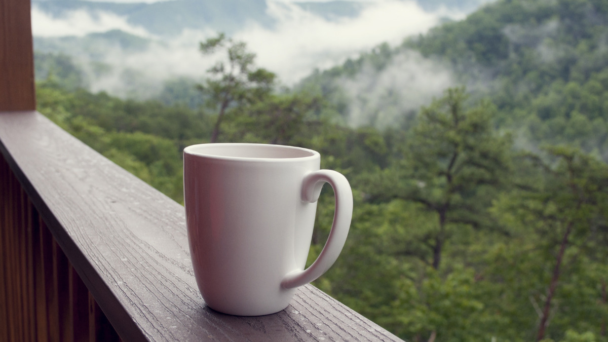 コーヒーカップと自然